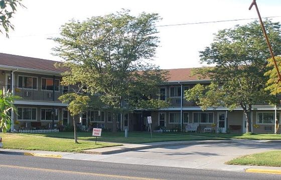Frontier Laurel