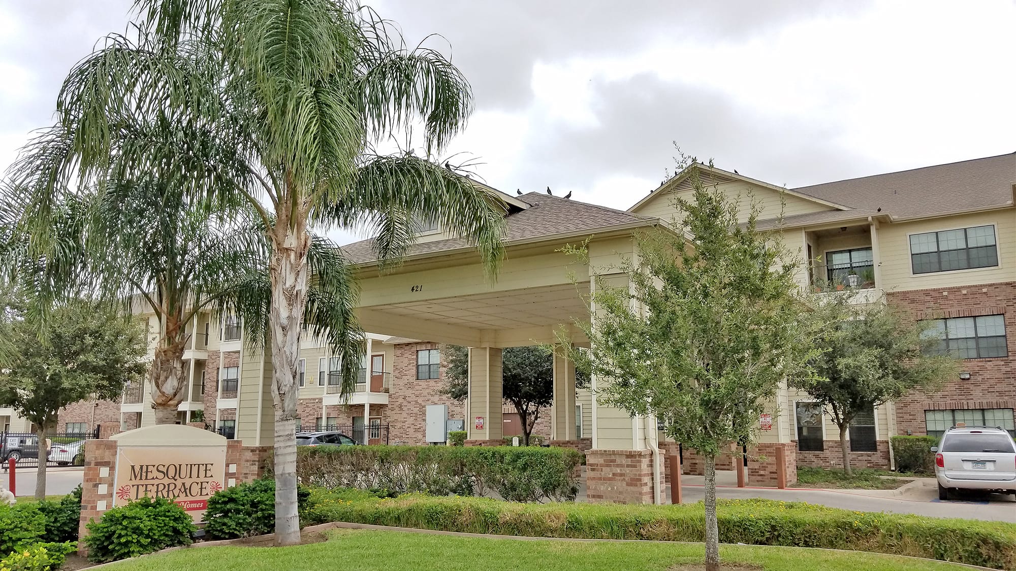 Mesquite Terrace