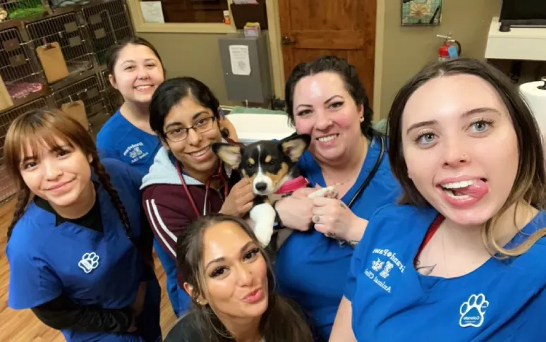 1. Grand Paws Animal Clinic