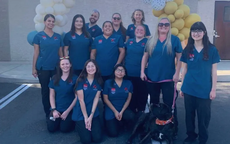 10. 43rd Avenue Animal Hospital