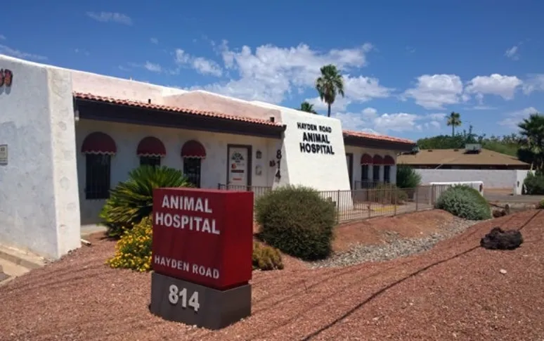 11. Hayden Road Animal Hospital