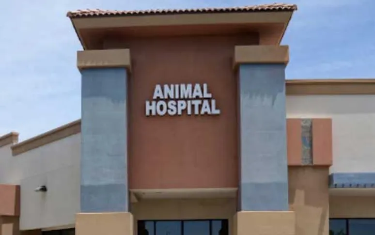 13. Desert Sky Animal Hospital