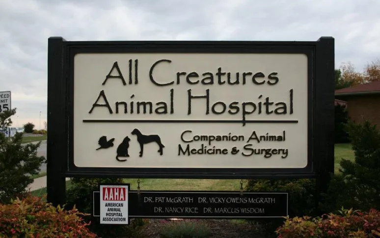3. All Creatures Animal Clinic