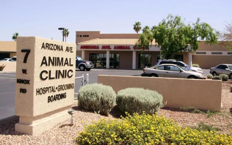 4. Arizona Avenue Animal Clinic