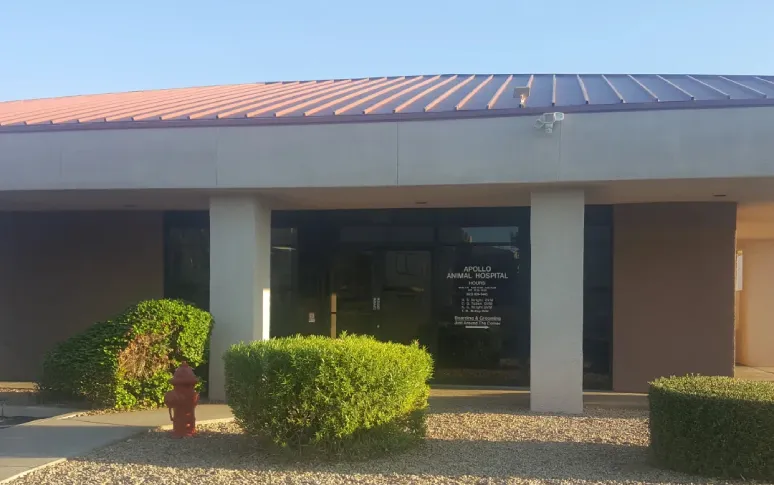 5. Apollo Animal Hospital