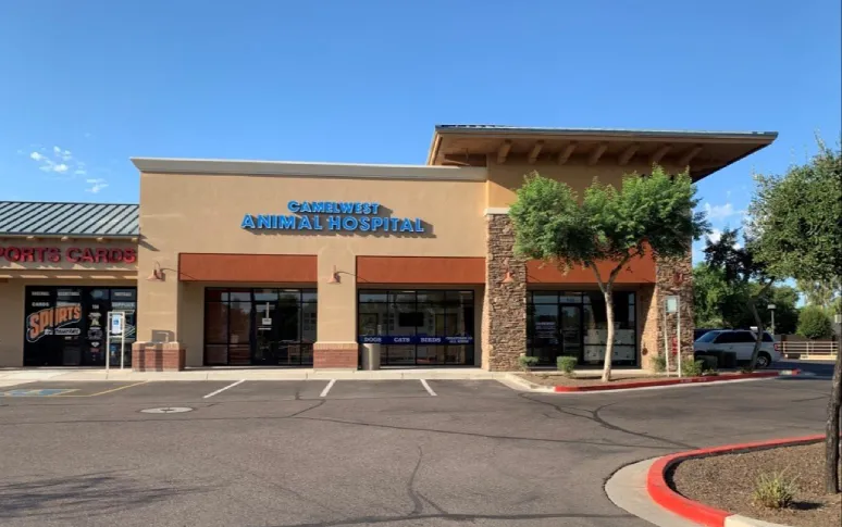 6. Camelwest Animal Hospital