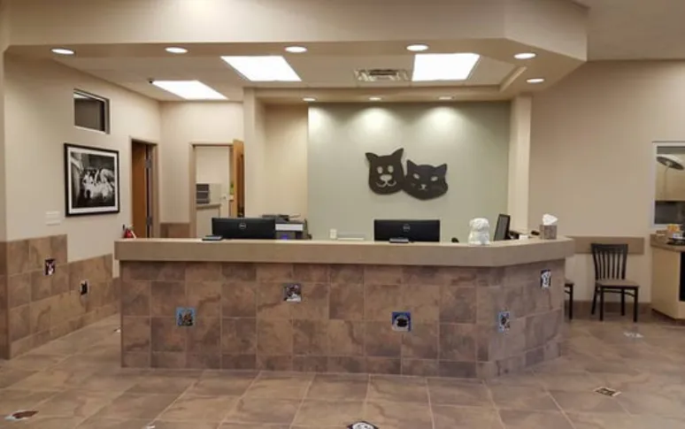 9. Madison Animal Hospital & Grooming