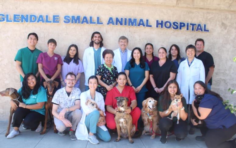 2. Glendale Small Animal Hospital
