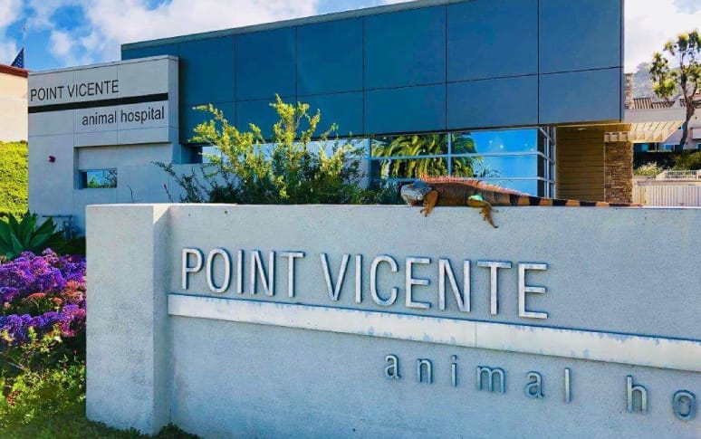 5. Point Vicente Animal Hospital