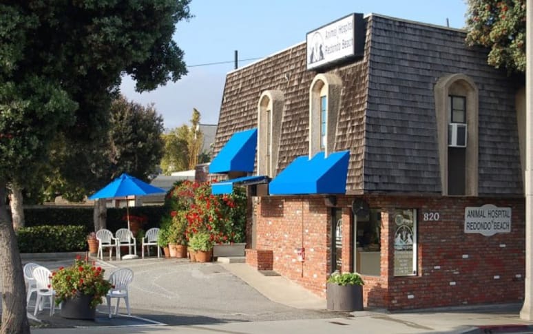 6. Animal Hospital of Redondo Beach