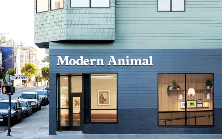 7. Modern Animal